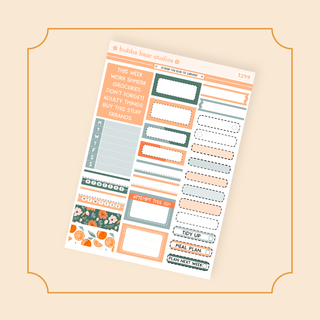 MINI - Orange You Glad Its Summer Page 2 - Boxes and Headers Bubba Bear Studios MINI - Orange You Glad Its Summer Stickers