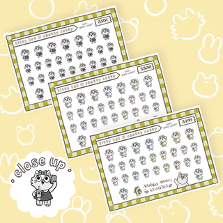 Kitty Kat || Chatty Catty